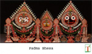 Padma Bhesa copy