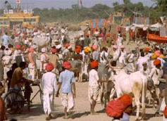 Annual Cattle Festival - Photo courtesy bharatonline.com