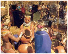 Paraja Tribes
