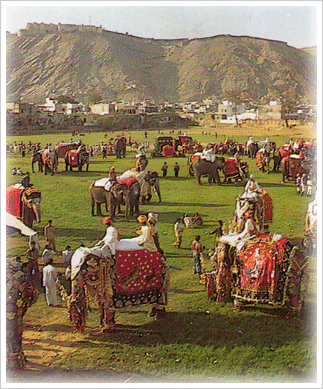 Elephant festival of Jaipur (Image Source Rajanthan Tours)