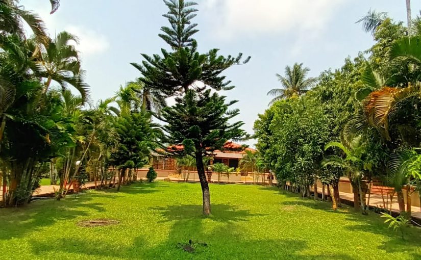 Enjoy a Peaceful Durga Puja vacation at Toshali Sands Resort Puri