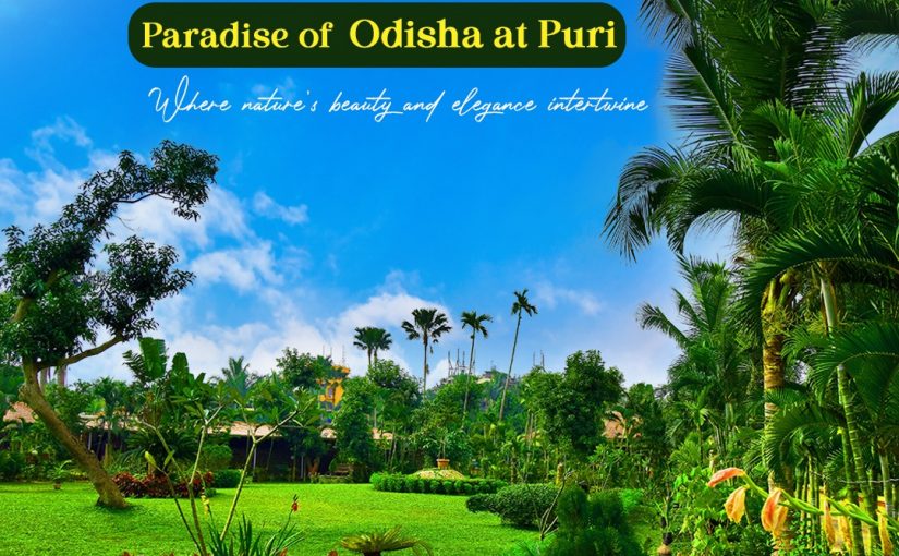 Best Luxury Accommodation at Toshali Sands Resort Puri