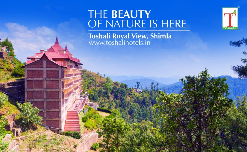 Best Weekend Getaways from Toshali Royal View Resort Shimla for a Relaxing Trip