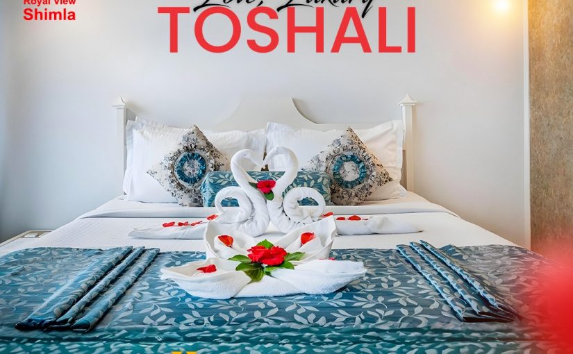 Hillside Harmony: A Cozy Escape at Toshali Royal View Resort, Shimla