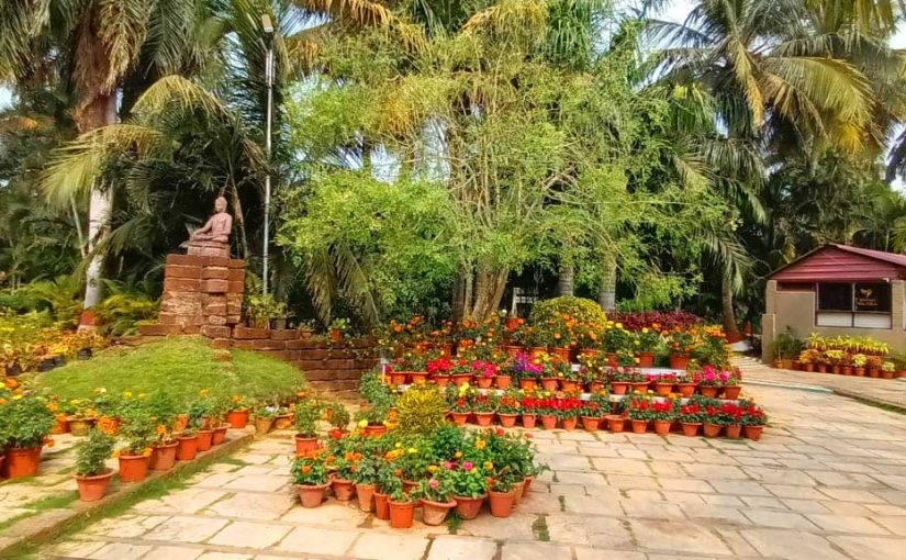 Discover the Hidden Gem: Why Toshali Sands is the Best Hotel in Puri